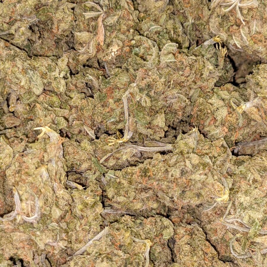 AA LEMON GOD 3 I $79 Oz - Lemon God