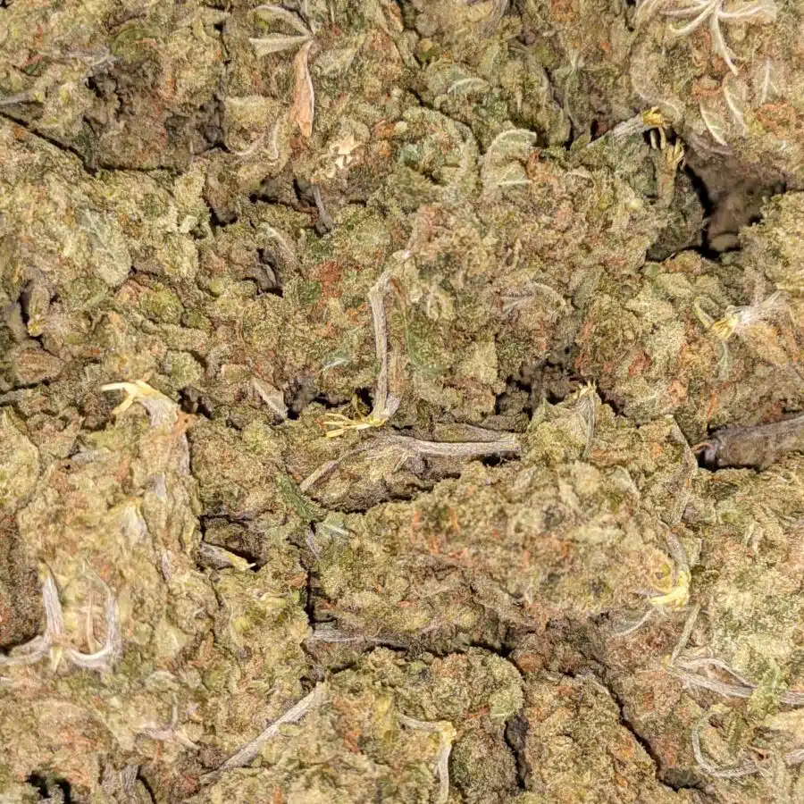 AA LEMON GOD 3 I $79 Oz - Lemon God