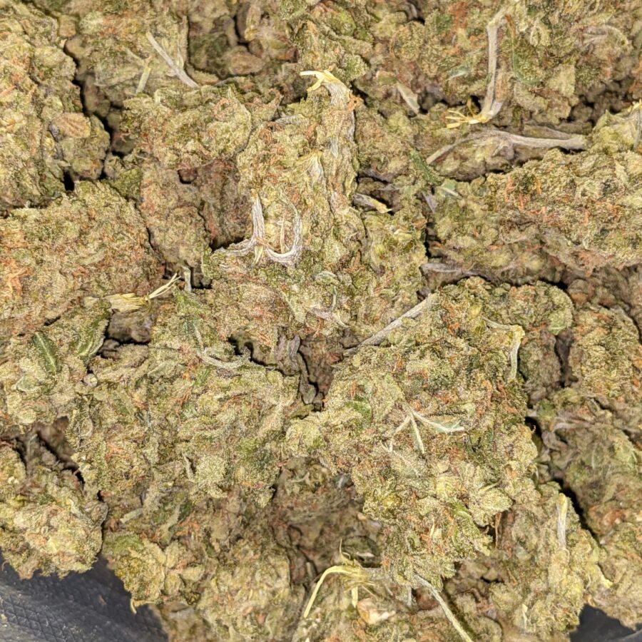 AA LEMON GOD 4 I $79 Oz - Lemon God