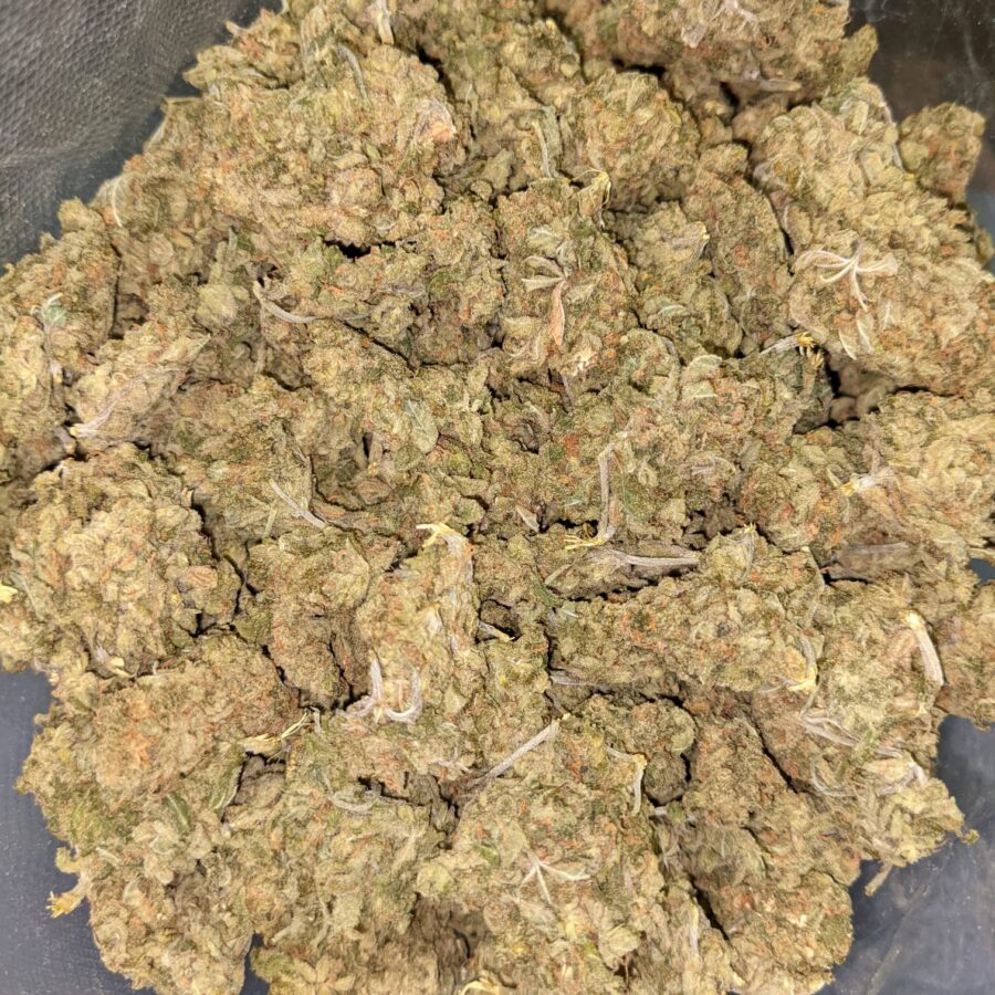 AA LEMON GOD 5 I $79 Oz - Lemon God