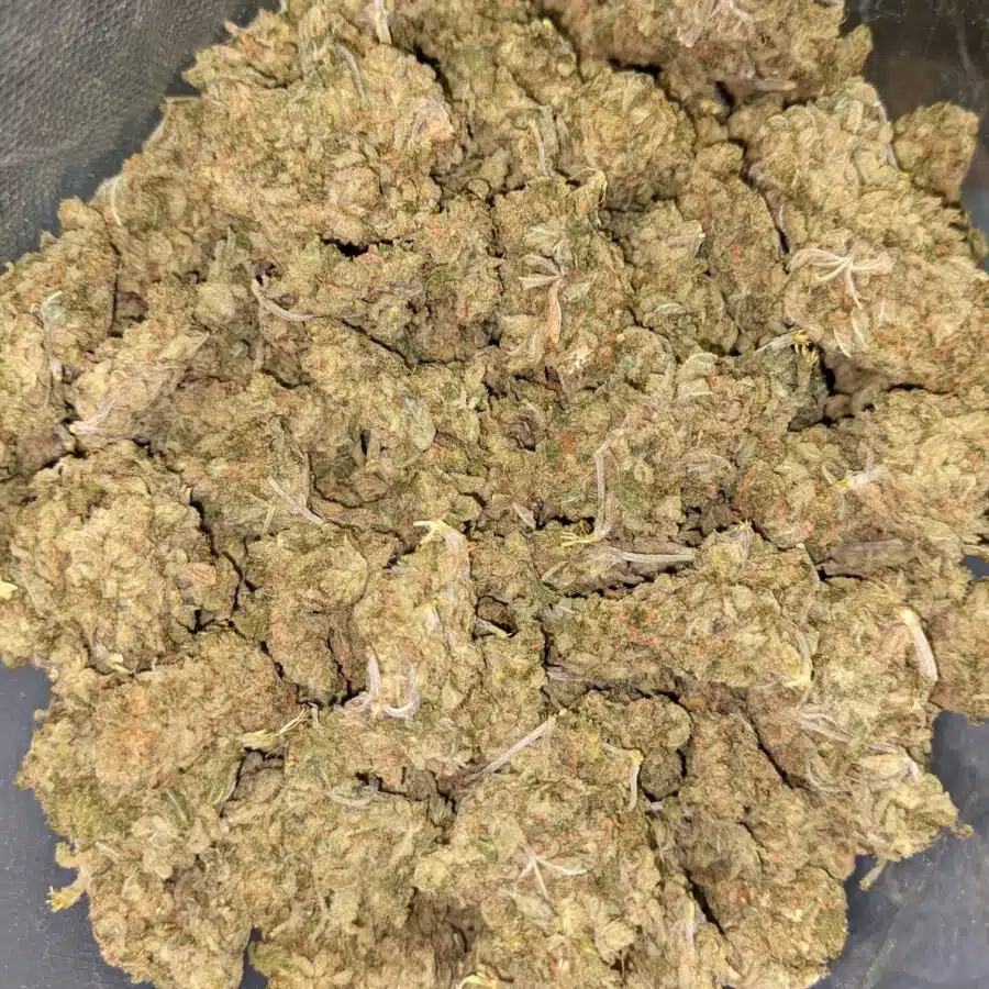 AA LEMON GOD 5 I $79 Oz - Lemon God