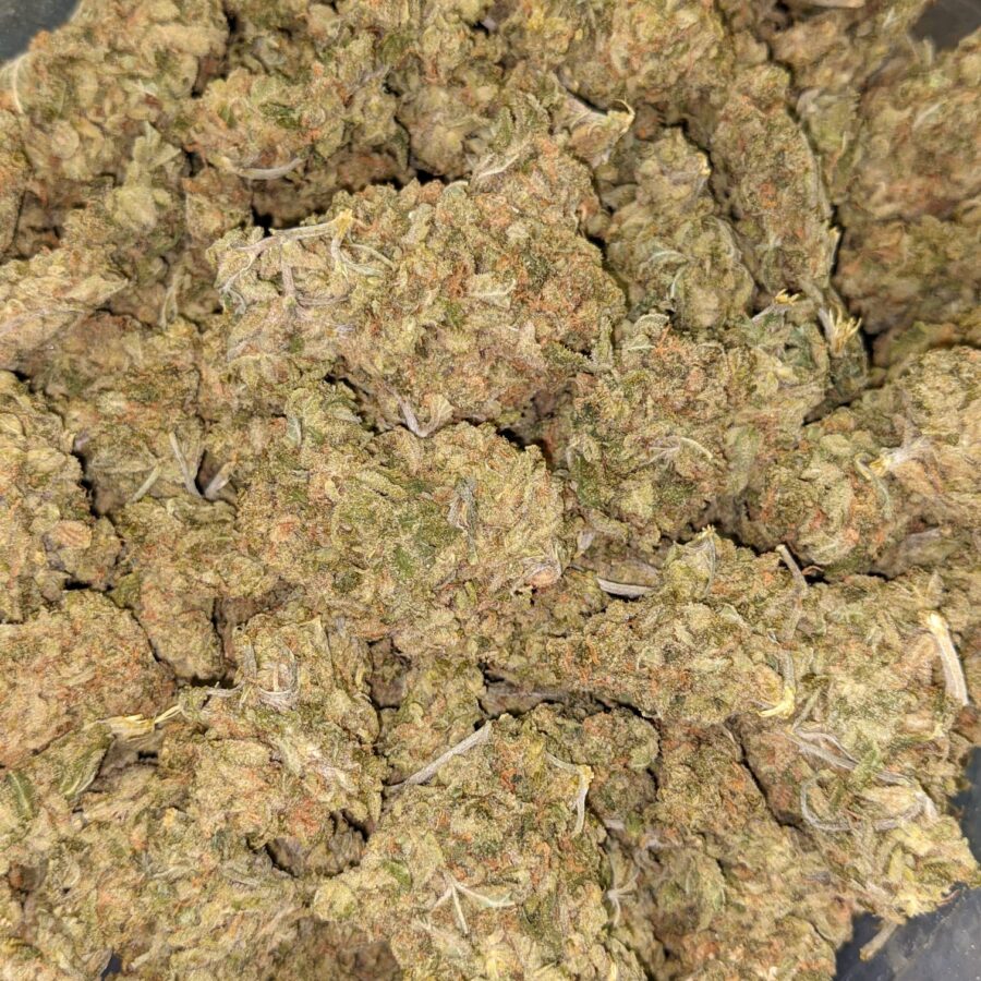 AA LEMON GOD 7 I $79 Oz - Lemon God