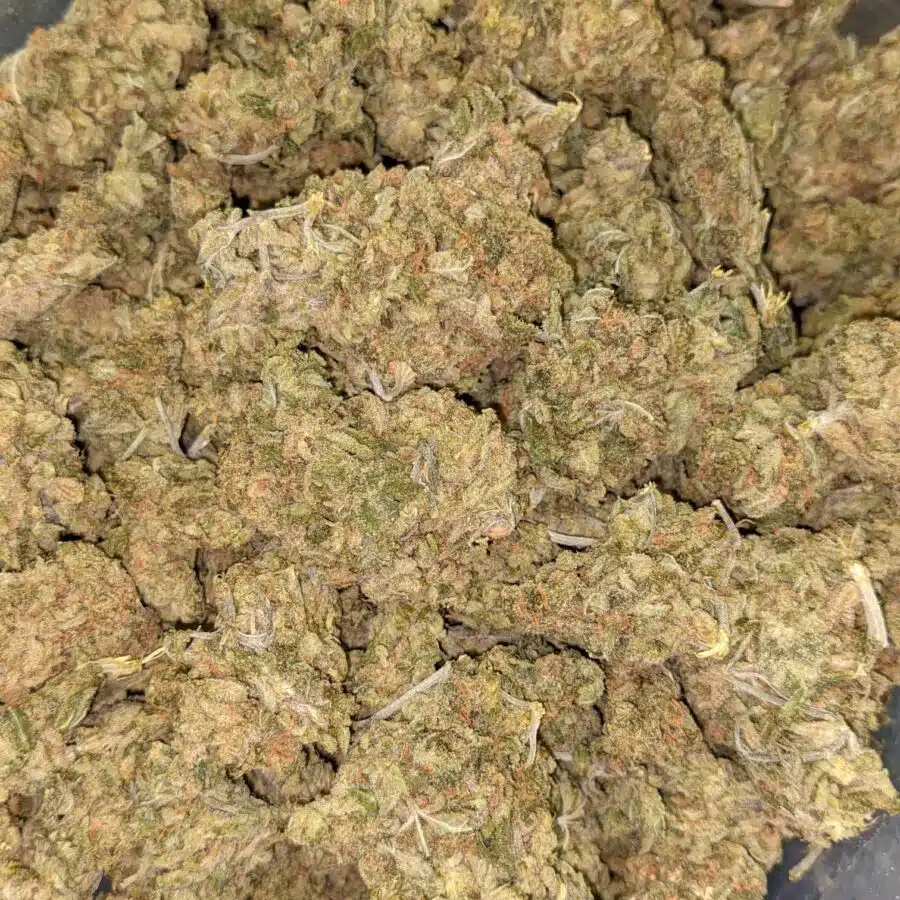 AA LEMON GOD 7 I $79 Oz - Lemon God