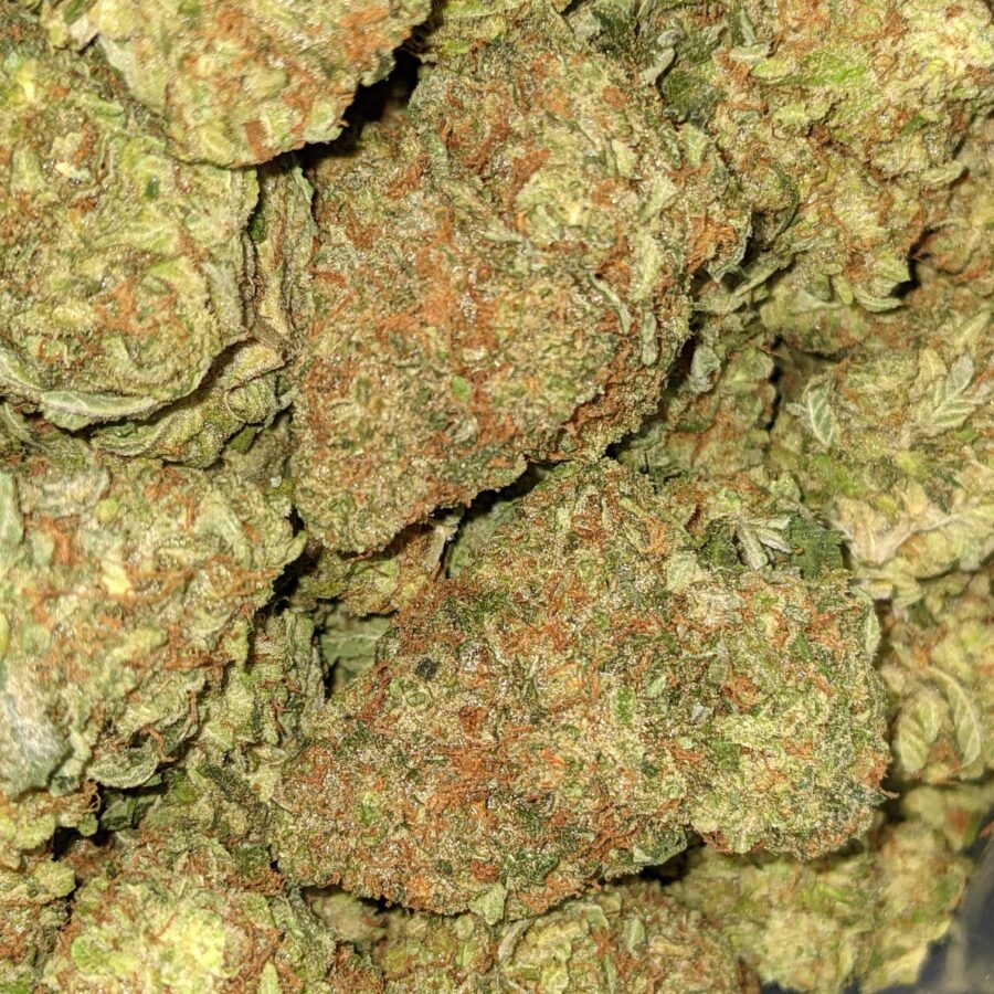CATPISS AAA 1 I $69 Oz - Catpiss