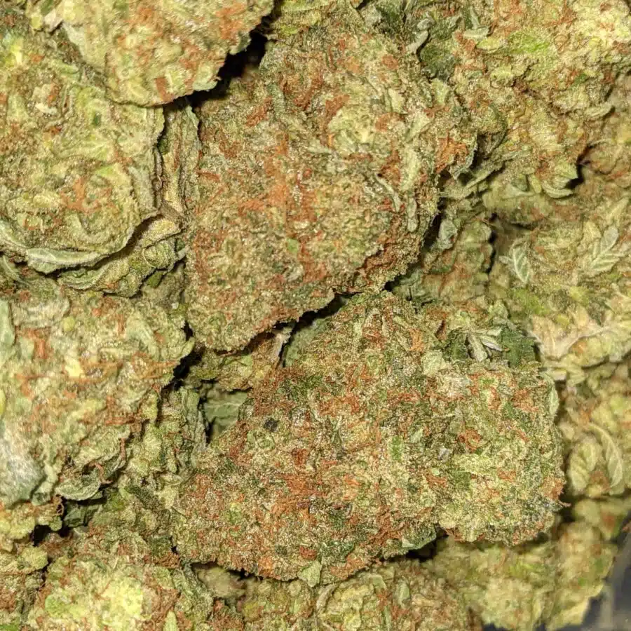 CATPISS AAA 1 I $69 Oz - Catpiss