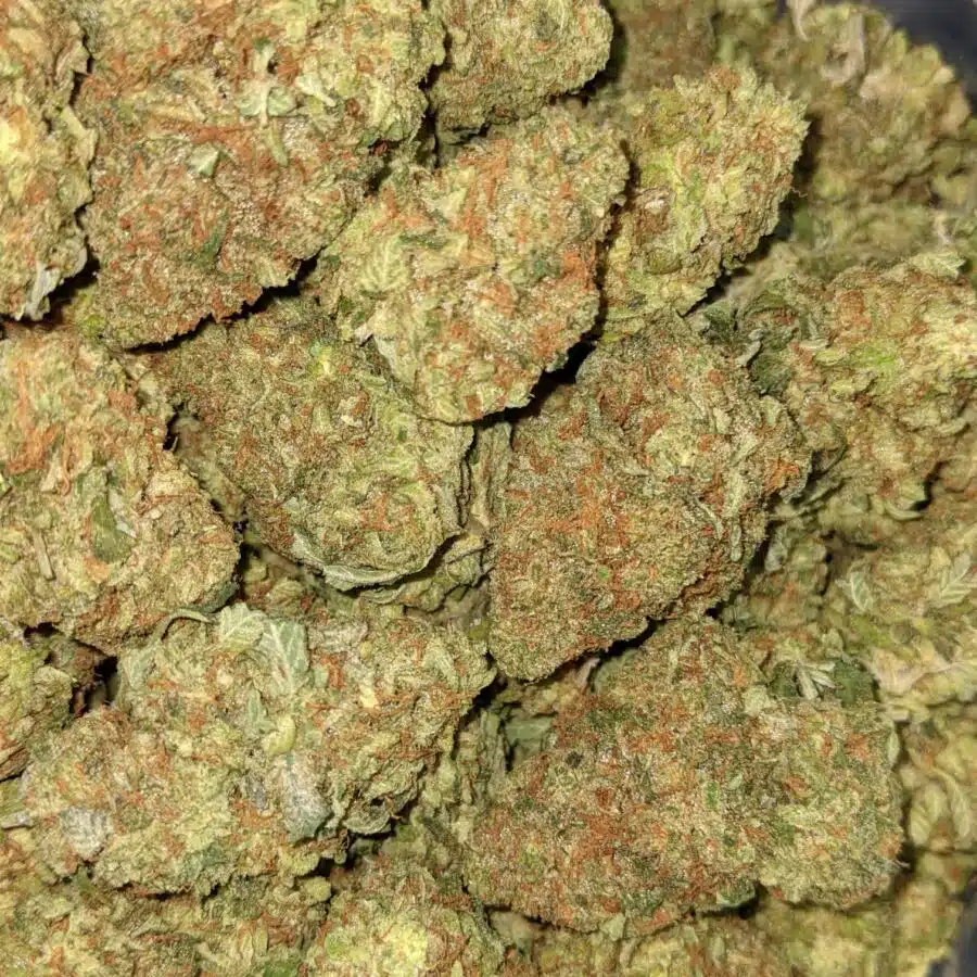 CATPISS AAA 2 I $69 Oz - Catpiss