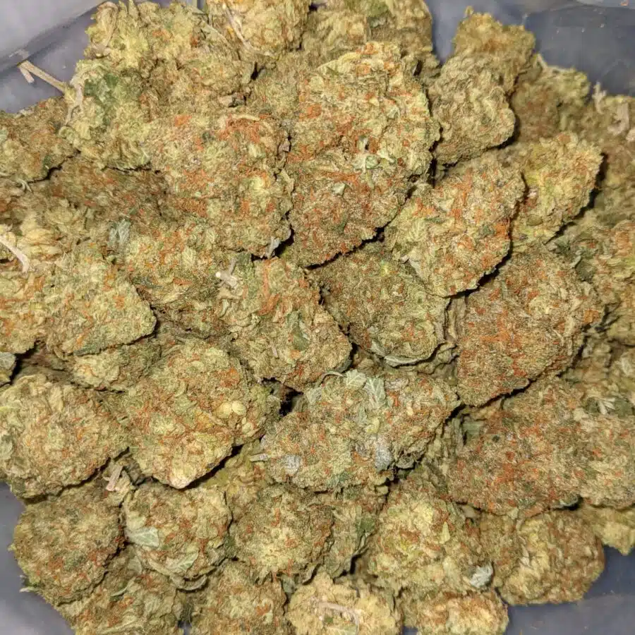CATPISS AAA 3 I $69 Oz - Catpiss