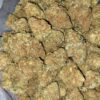$69 Oz - Catpiss