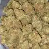 $69 Oz - Catpiss