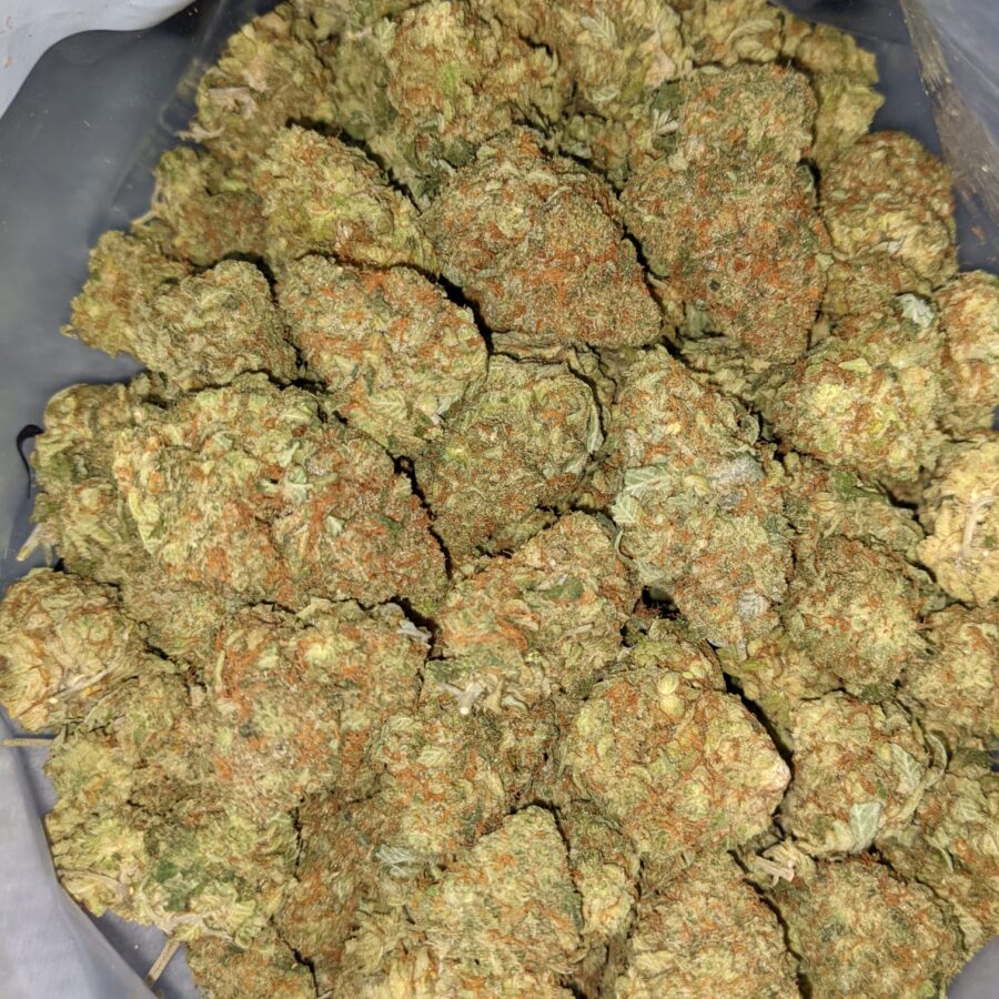 CATPISS AAA 5 I $69 Oz - Catpiss