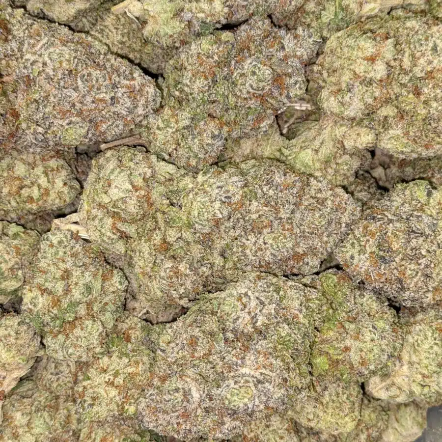 COTTON CANDY KUSH AAAA 1 I Cotton Candy Kush AAAA