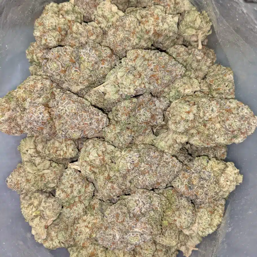 COTTON CANDY KUSH AAAA 2 I Cotton Candy Kush AAAA