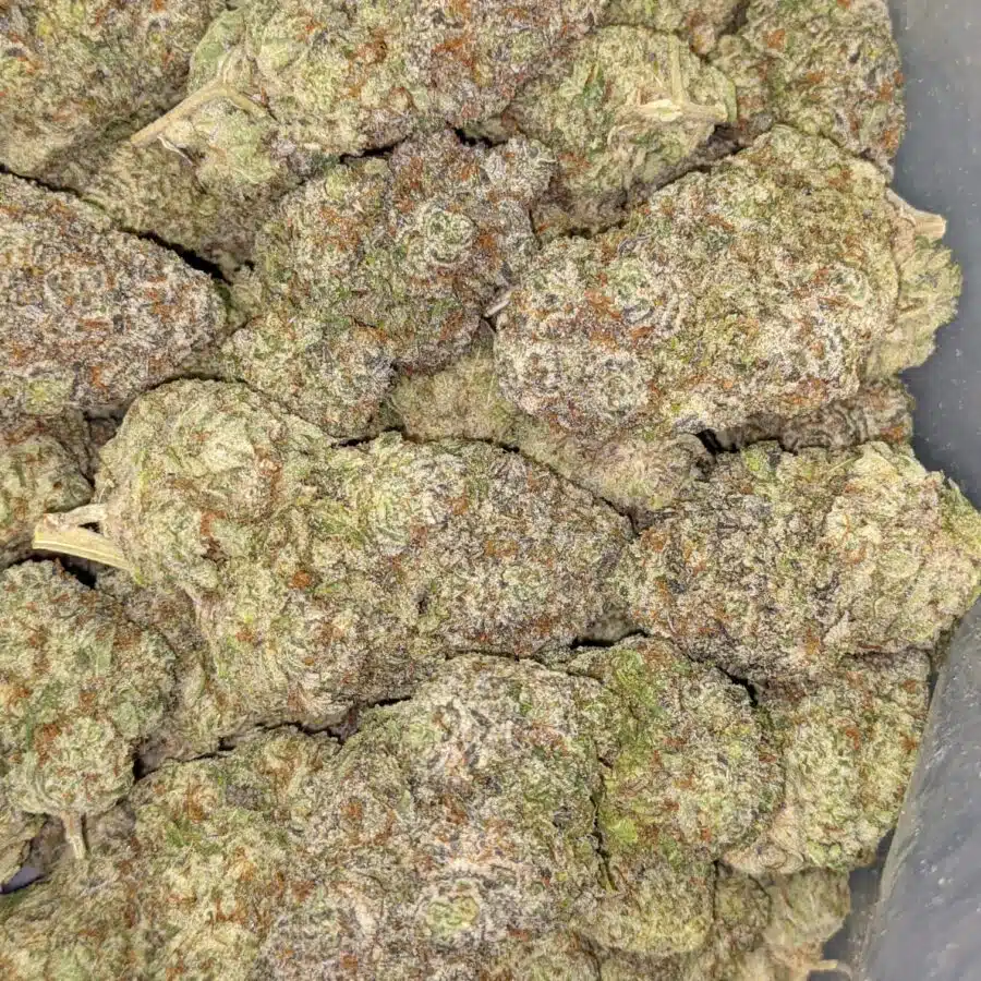 COTTON CANDY KUSH AAAA 3 I Cotton Candy Kush AAAA