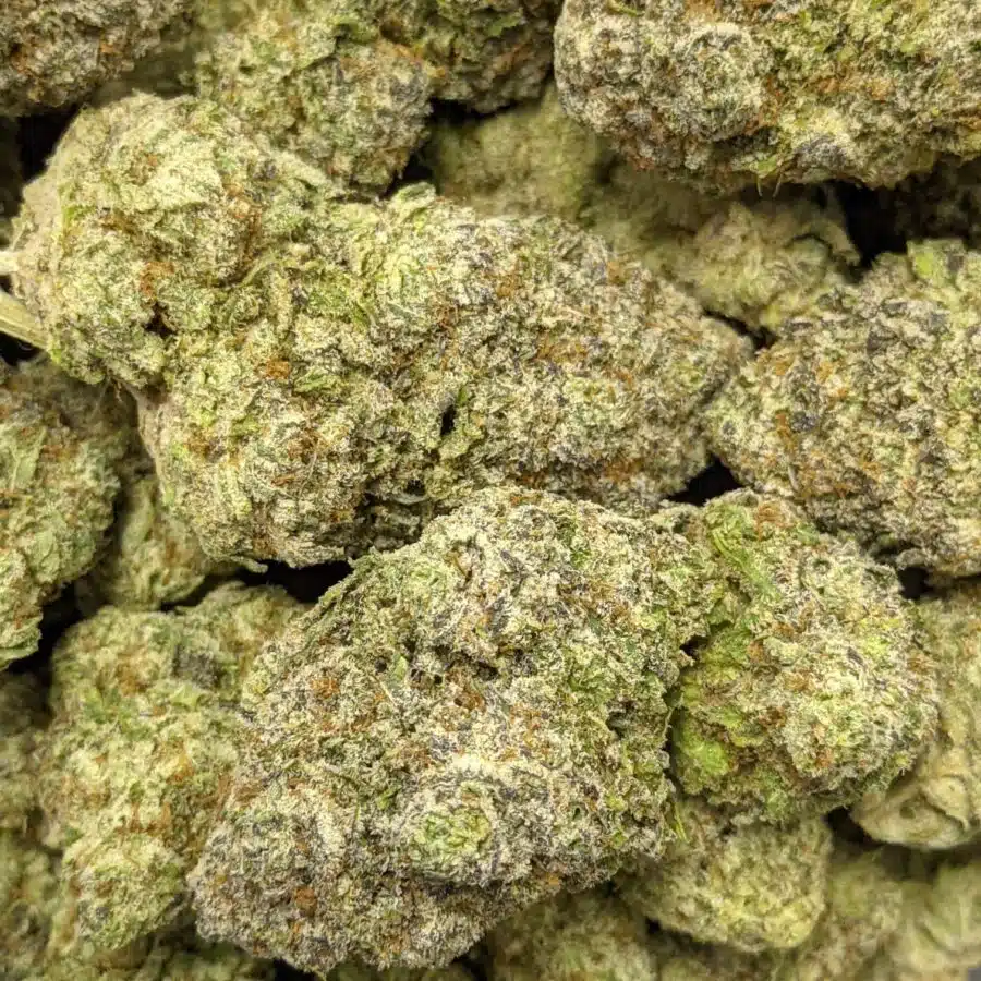 COTTON CANDY KUSH AAAA 4 I Cotton Candy Kush AAAA
