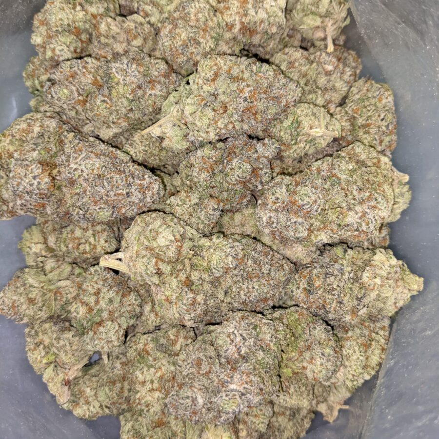COTTON CANDY KUSH AAAA 6 I Cotton Candy Kush AAAA