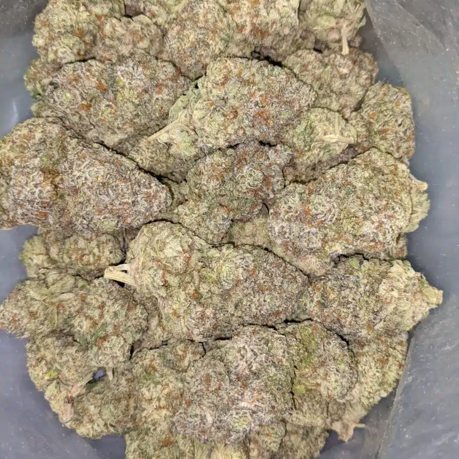 COTTON CANDY KUSH AAAA 6 I Cotton Candy Kush AAAA