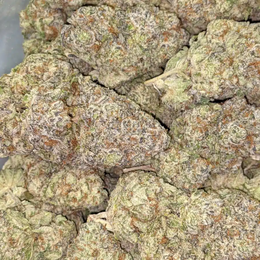 COTTON CANDY KUSH AAAA 7 I Cotton Candy Kush AAAA