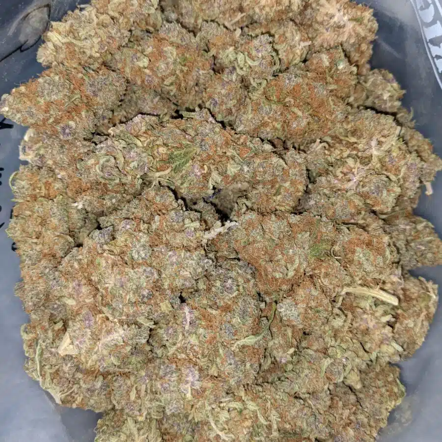 GELATO MINTS DOD 2 I Gelato Mints - *Deal of the Day*