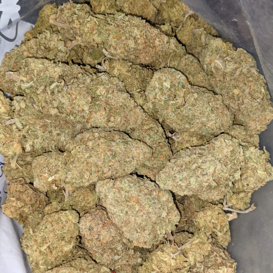 GREEN ROMULAN BULK 2 I Green Romulan Bulk Special