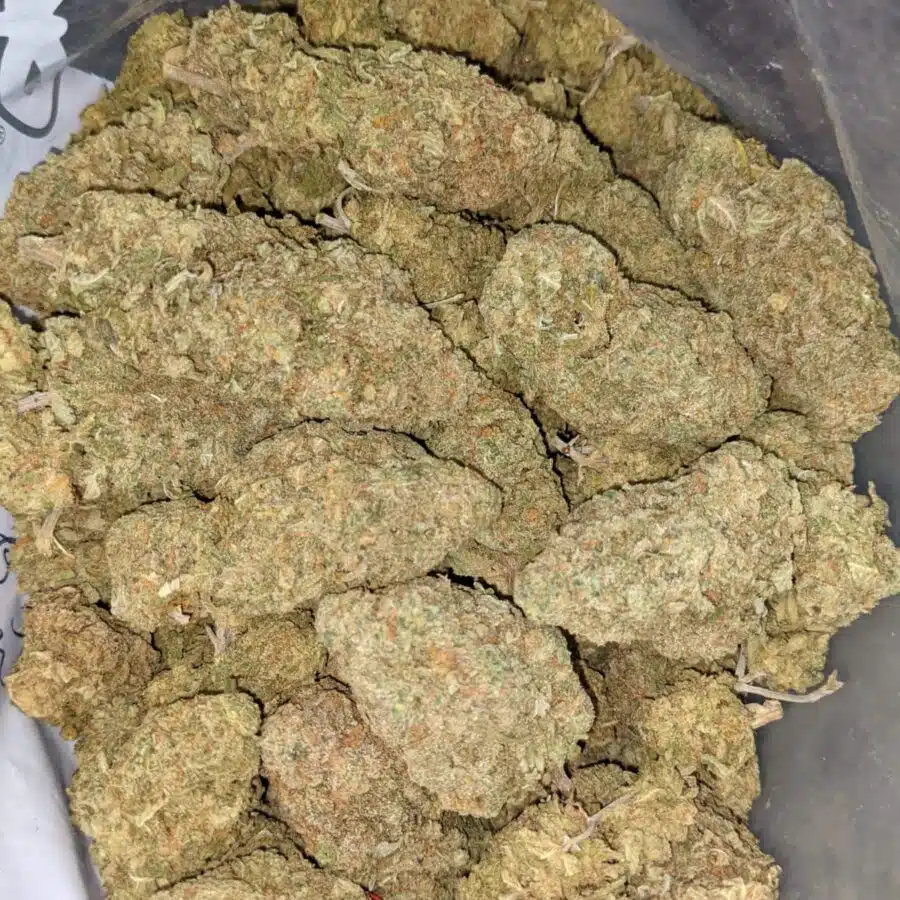 GREEN ROMULAN BULK 2 I Green Romulan Bulk Special