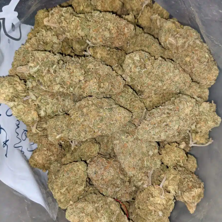 GREEN ROMULAN BULK 5 I Green Romulan Bulk Special