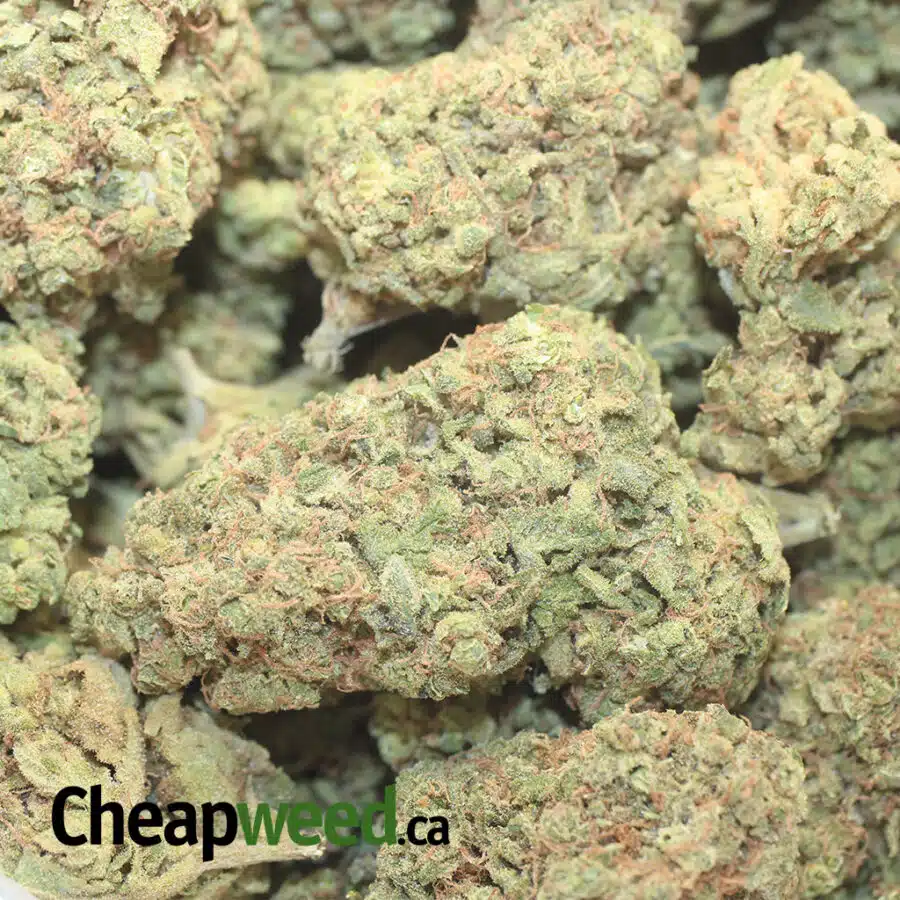 HUCKLEBERRY 1 I $59 Oz - Huckleberry