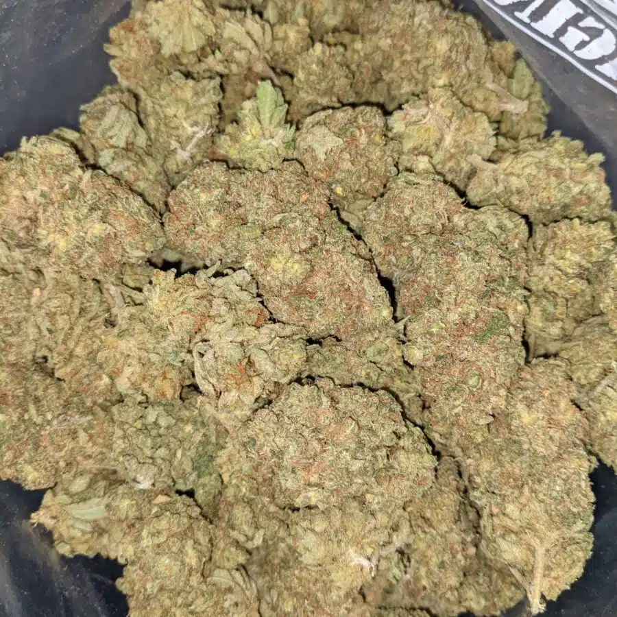 HUCKLEBERRY DOD 1 1 I $59 Oz - Huckleberry