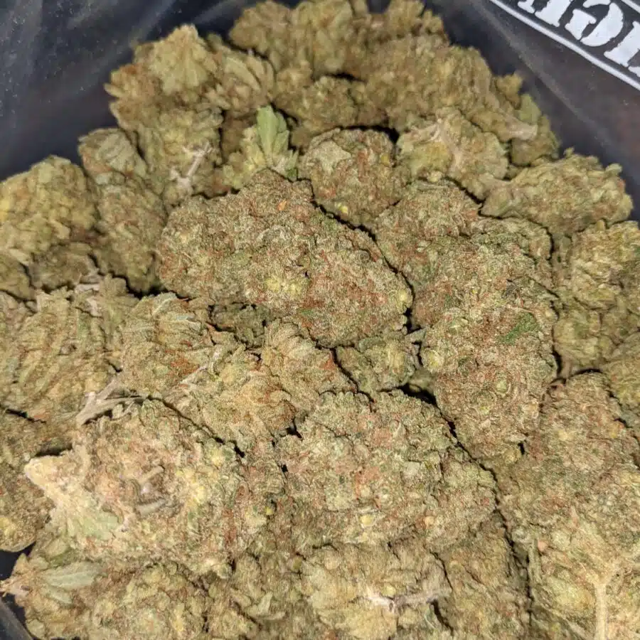 HUCKLEBERRY DOD 2 1 I $59 Oz - Huckleberry