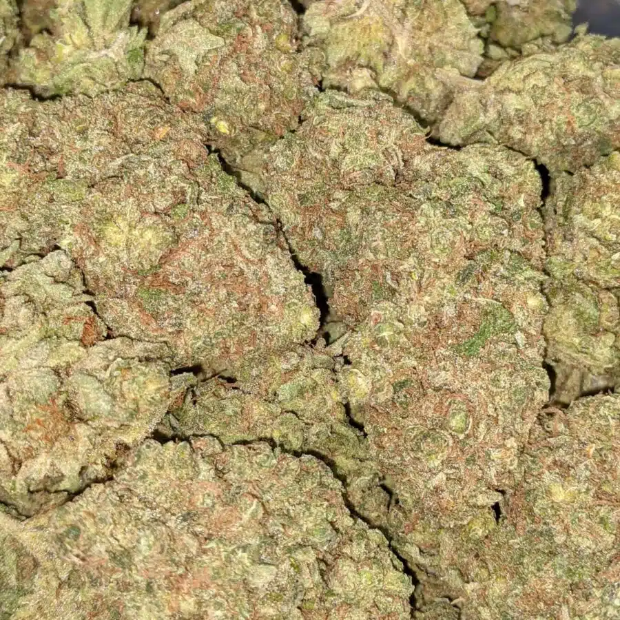 HUCKLEBERRY DOD 3 1 I $59 Oz - Huckleberry