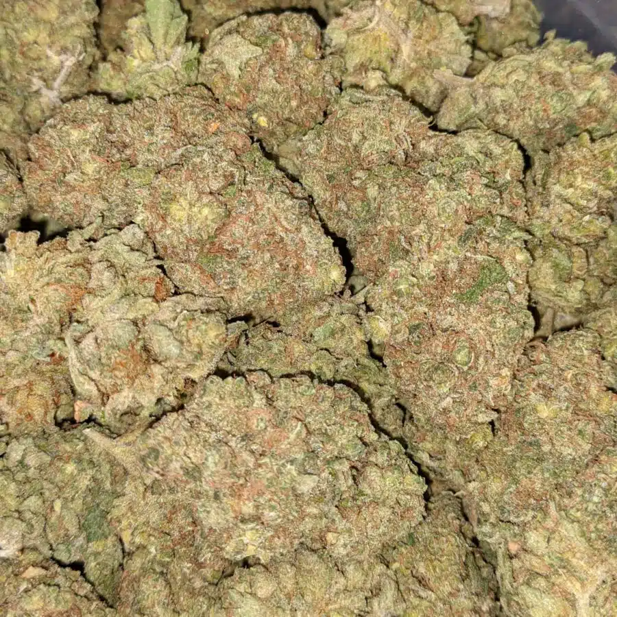 HUCKLEBERRY DOD 5 1 I $59 Oz - Huckleberry