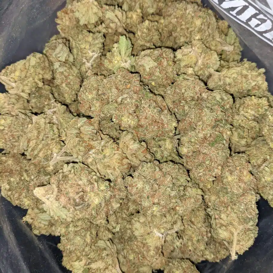 HUCKLEBERRY DOD 6 1 I $59 Oz - Huckleberry