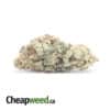 Phat Banana - *Deal of the Day*