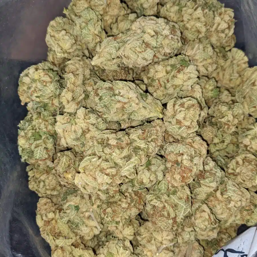 PHAT BANANA 1 I Phat Banana - *Deal of the Day*