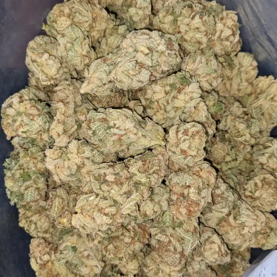 PHAT BANANA 4 I Phat Banana - *Deal of the Day*