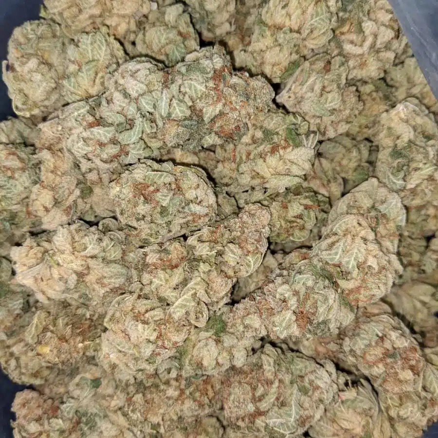 PHAT BANANA 5 I Phat Banana - *Deal of the Day*