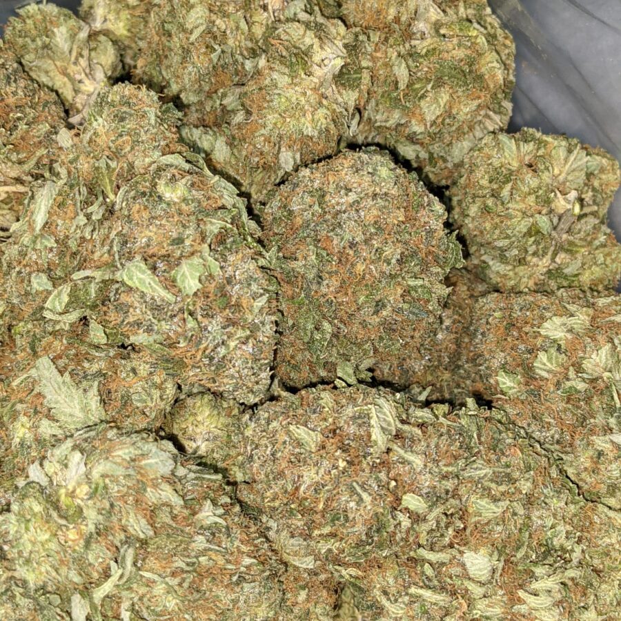 PINEAPPLE JACK DOD 1 I Pineapple Jack - *Deal of the Day*
