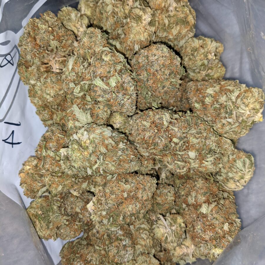 PINEAPPLE JACK DOD 2 I Pineapple Jack - *Deal of the Day*