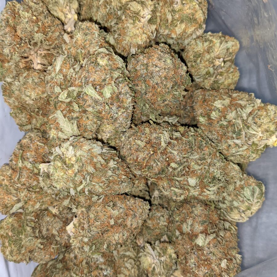 PINEAPPLE JACK DOD 4 I Pineapple Jack - *Deal of the Day*