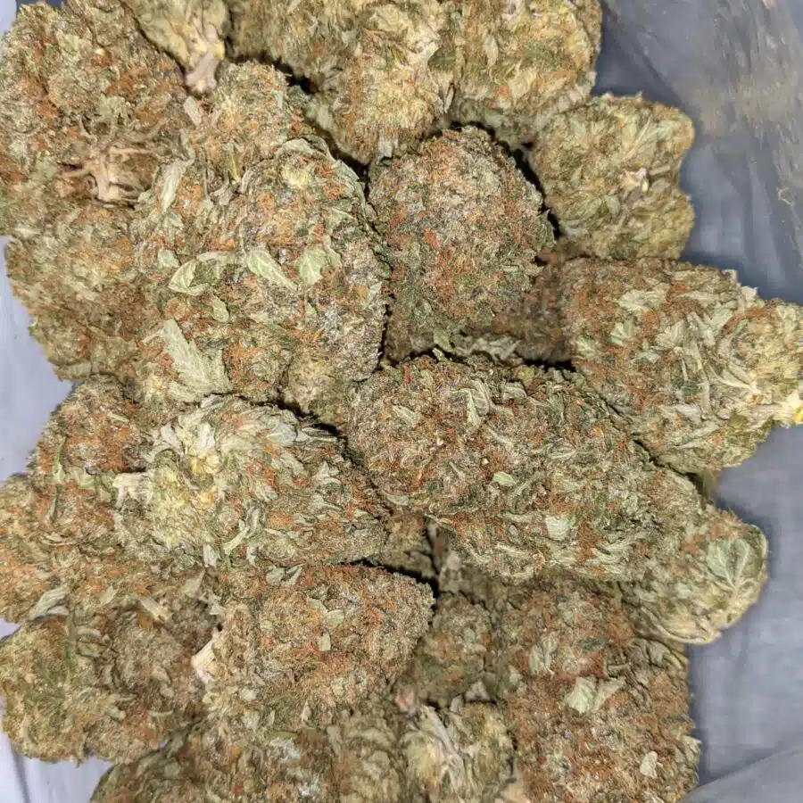 PINEAPPLE JACK DOD 4 I Pineapple Jack - *Deal of the Day*