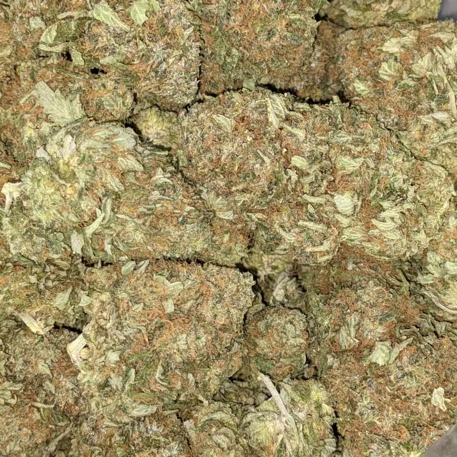 PINEAPPLE JACK DOD 5 I Pineapple Jack - *Deal of the Day*