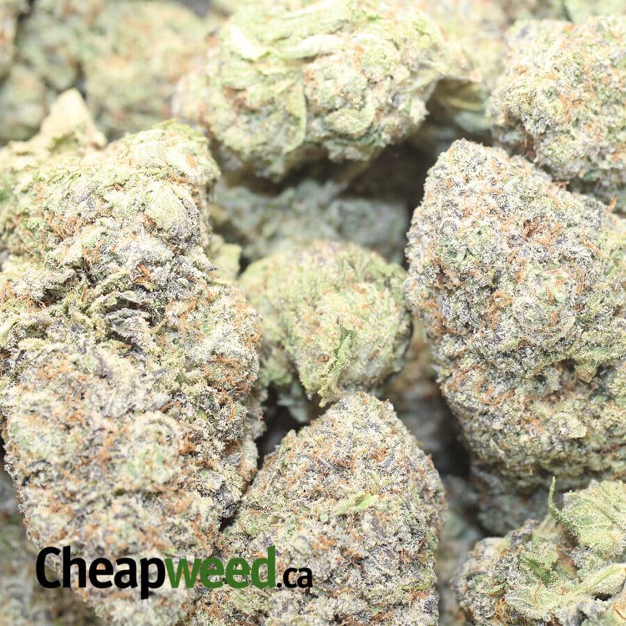 PURPLECOTTON CANDY AAAA 1 I Cotton Candy Kush AAAA
