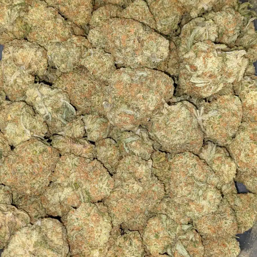 SHERBERT AAA 2 I $69 Oz - Sherbet
