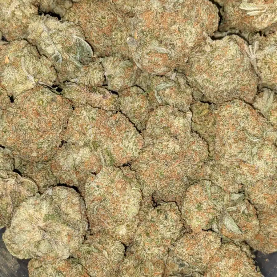 SHERBERT AAA 4 I $69 Oz - Sherbet