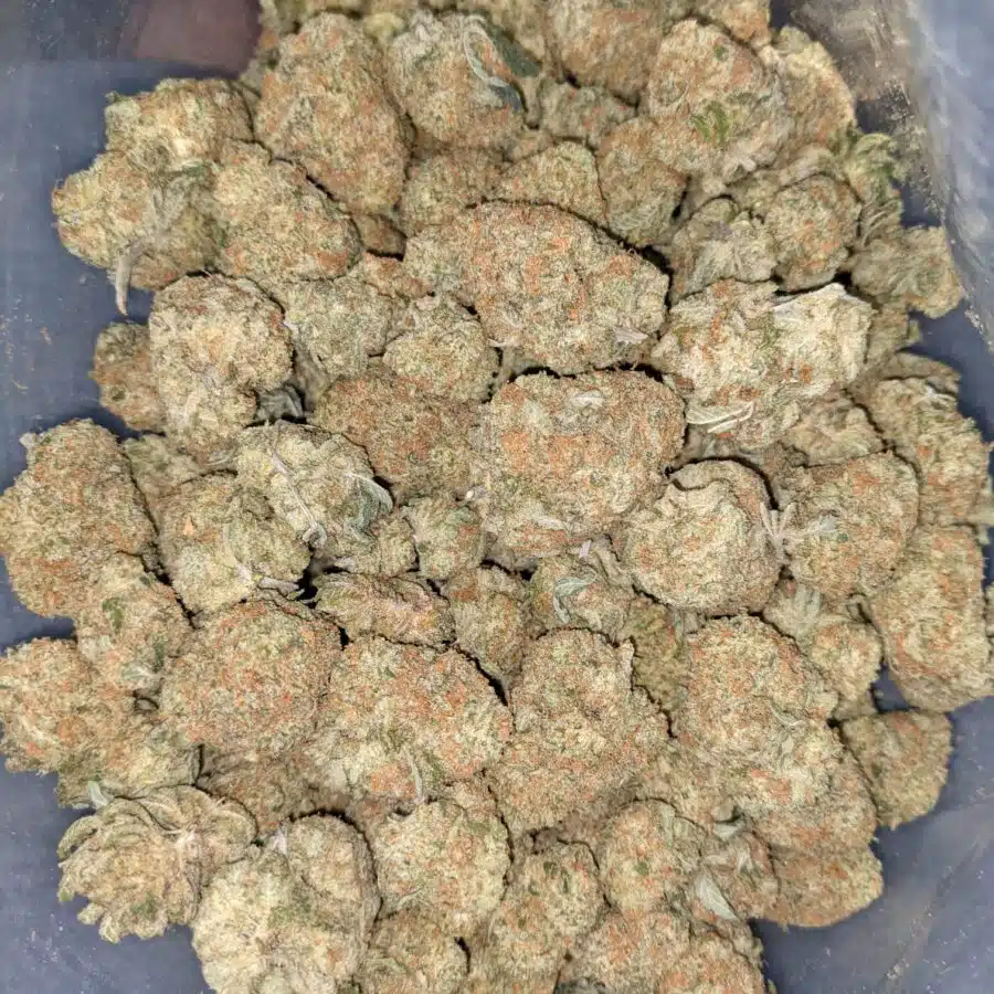 SHERBERT AAA 6 I $69 Oz - Sherbet