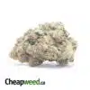 White Cookies AAA