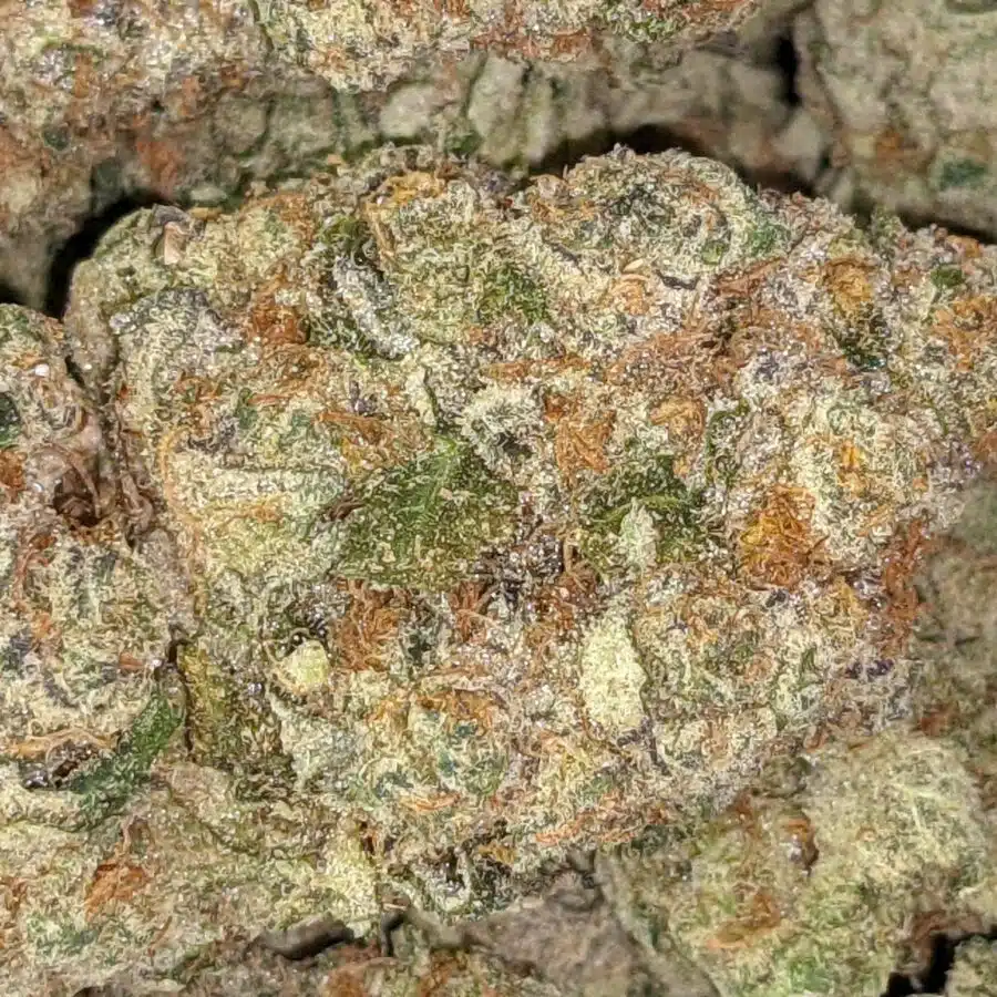 WHITE COOKIES DOD 2 I White Cookies AAA