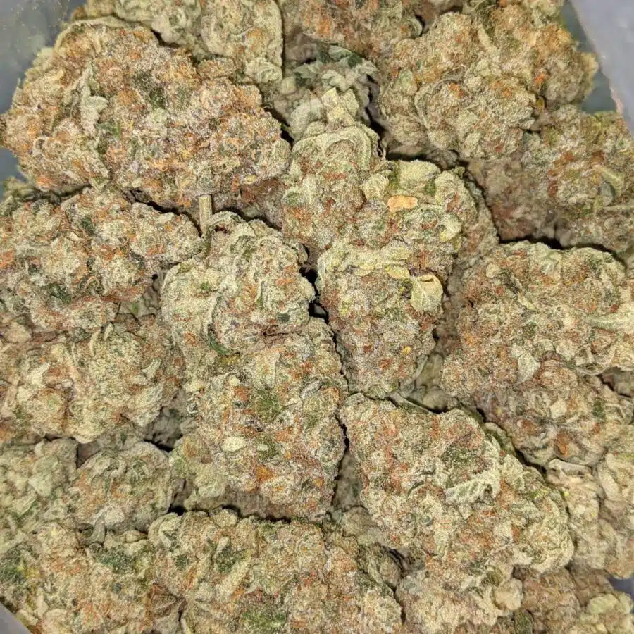 WHITE COOKIES DOD 3 I White Cookies AAA