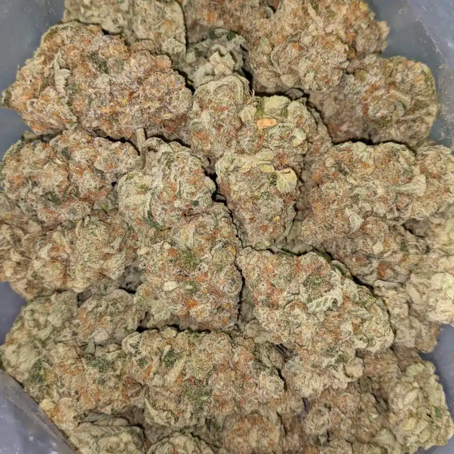 WHITE COOKIES DOD 5 I White Cookies AAA