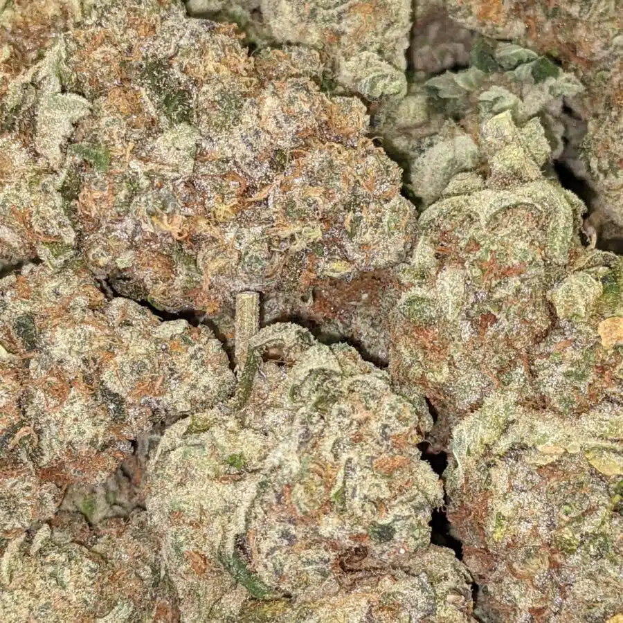 WHITE COOKIES DOD 6 I White Cookies AAA