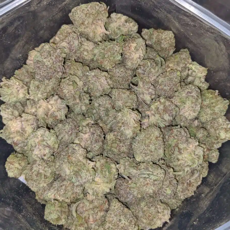 WHITE DURBAN 4 1 I White Durban